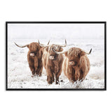 Highland Cows-The Paper Tree-Artwork,bohemian,boho,CATTLE,framed,framed print,herd,highland bull,highland cattle,highland cow,landscape,nature,premium art print,TAN,wall art,Wall_Art,Wall_Art_Prints