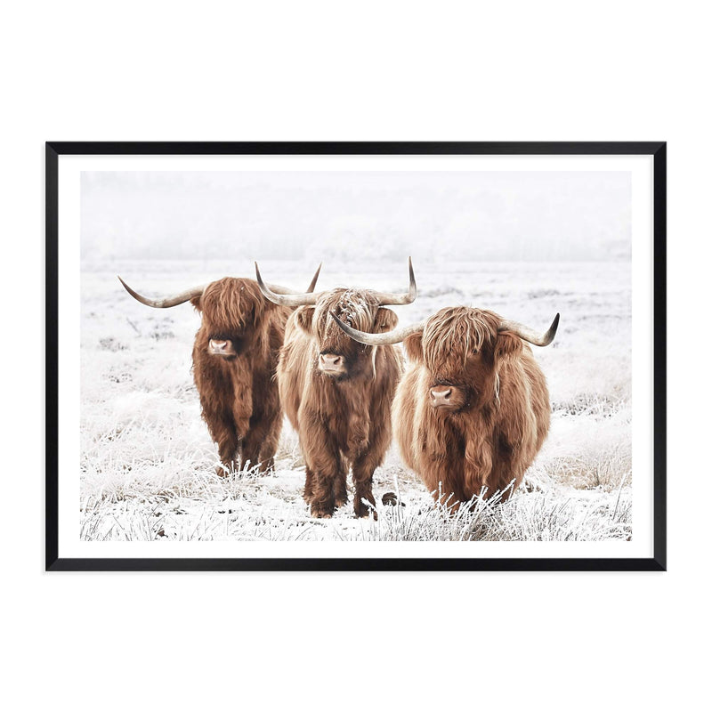 Highland Cows-The Paper Tree-Artwork,bohemian,boho,CATTLE,framed,framed print,herd,highland bull,highland cattle,highland cow,landscape,nature,premium art print,TAN,wall art,Wall_Art,Wall_Art_Prints