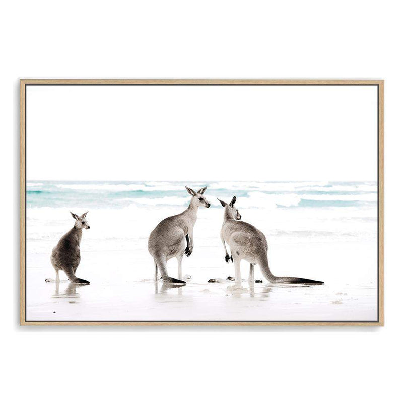 Kangaroos On The Beach-The Paper Tree-animals,Art_Prints,Artwork,australian,Australian animals,australian art,australian landscape,BEACH,boho,coastal,COASTAL ART,Designer,hamptons,kangaroo,kangaroo's,landscape,nature,neutral,premium art print,travel,wall art,Wall_Art,Wall_Art_Prints,white