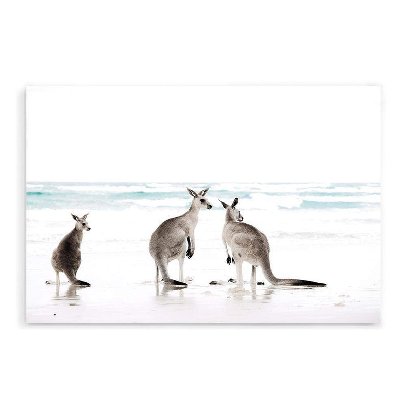 Kangaroos On The Beach-The Paper Tree-animals,Art_Prints,Artwork,australian,Australian animals,australian art,australian landscape,BEACH,boho,coastal,COASTAL ART,Designer,hamptons,kangaroo,kangaroo's,landscape,nature,neutral,premium art print,travel,wall art,Wall_Art,Wall_Art_Prints,white