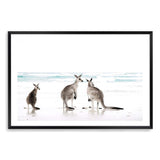 Kangaroos On The Beach-The Paper Tree-animals,Art_Prints,Artwork,australian,Australian animals,australian art,australian landscape,BEACH,boho,coastal,COASTAL ART,Designer,hamptons,kangaroo,kangaroo's,landscape,nature,neutral,premium art print,travel,wall art,Wall_Art,Wall_Art_Prints,white