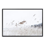 Reeds In The Breeze-The Paper Tree-beach,boho,coast,coastal,grass,hamptons,nature,neutral,pampas grass,premium art print,reeds,sand,shore,tall grass,wall art,Wall_Art,Wall_Art_Prints