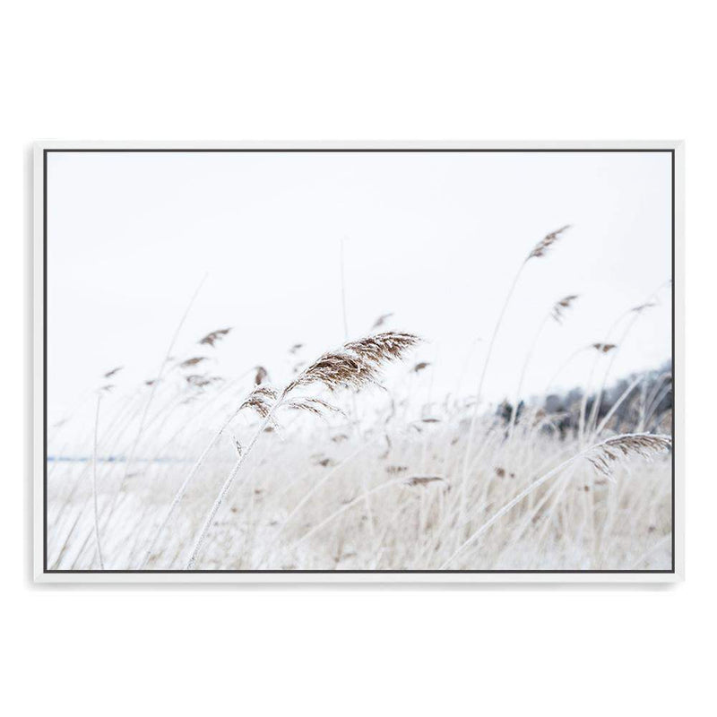 Reeds In The Breeze-The Paper Tree-beach,boho,coast,coastal,grass,hamptons,nature,neutral,pampas grass,premium art print,reeds,sand,shore,tall grass,wall art,Wall_Art,Wall_Art_Prints