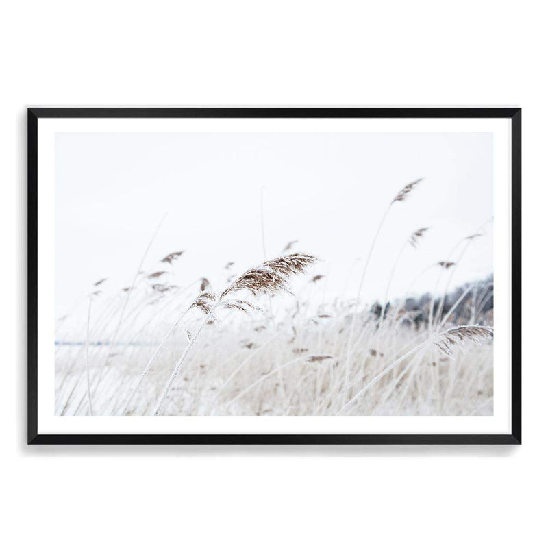 Reeds In The Breeze-The Paper Tree-beach,boho,coast,coastal,grass,hamptons,nature,neutral,pampas grass,premium art print,reeds,sand,shore,tall grass,wall art,Wall_Art,Wall_Art_Prints