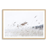 Reeds In The Breeze-The Paper Tree-beach,boho,coast,coastal,grass,hamptons,nature,neutral,pampas grass,premium art print,reeds,sand,shore,tall grass,wall art,Wall_Art,Wall_Art_Prints