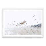 Reeds In The Breeze-The Paper Tree-beach,boho,coast,coastal,grass,hamptons,nature,neutral,pampas grass,premium art print,reeds,sand,shore,tall grass,wall art,Wall_Art,Wall_Art_Prints