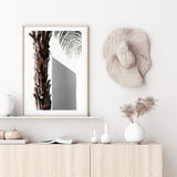 Shaded Palm Tree-The Paper Tree-boho,hamptons,minimalist,neutral,palm,palm frond,palm tree,portrait,premium art print,scandi,tree,wall art,Wall_Art,Wall_Art_Prints,white