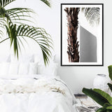 Shaded Palm Tree-The Paper Tree-boho,hamptons,minimalist,neutral,palm,palm frond,palm tree,portrait,premium art print,scandi,tree,wall art,Wall_Art,Wall_Art_Prints,white