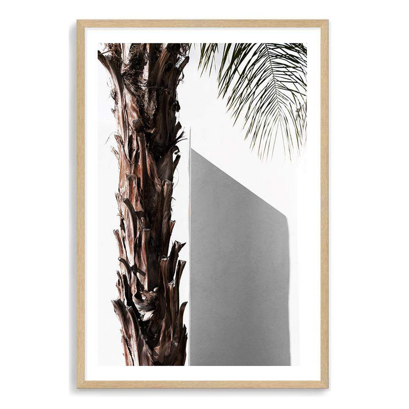 Shaded Palm Tree-The Paper Tree-boho,hamptons,minimalist,neutral,palm,palm frond,palm tree,portrait,premium art print,scandi,tree,wall art,Wall_Art,Wall_Art_Prints,white