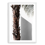 Shaded Palm Tree-The Paper Tree-boho,hamptons,minimalist,neutral,palm,palm frond,palm tree,portrait,premium art print,scandi,tree,wall art,Wall_Art,Wall_Art_Prints,white