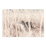 Cheetah In The Grass-The Paper Tree-africa,african,animal,boho,cat,cheetah,grass,landscape,nature,neutral,premium art print,tall grass,wall art,Wall_Art,Wall_Art_Prints