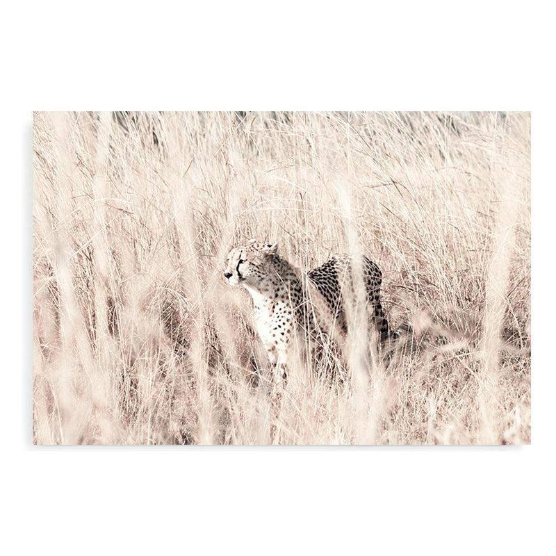 Cheetah In The Grass-The Paper Tree-africa,african,animal,boho,cat,cheetah,grass,landscape,nature,neutral,premium art print,tall grass,wall art,Wall_Art,Wall_Art_Prints