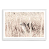 Cheetah In The Grass-The Paper Tree-africa,african,animal,boho,cat,cheetah,grass,landscape,nature,neutral,premium art print,tall grass,wall art,Wall_Art,Wall_Art_Prints