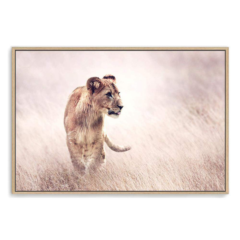 Lion On The Prowl-The Paper Tree-Africa,African,Animal,boho,cat,hunt,Hunting,landscape,leo,lion,nature,neutral,premium art print,TAN,wall art,Wall_Art,Wall_Art_Prints