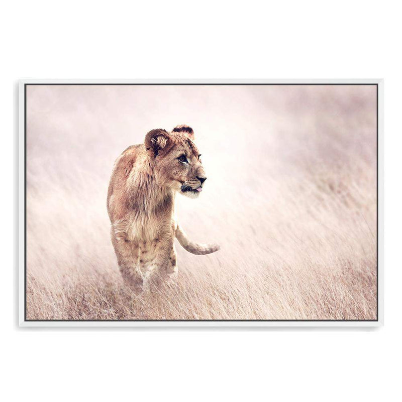 Lion On The Prowl-The Paper Tree-Africa,African,Animal,boho,cat,hunt,Hunting,landscape,leo,lion,nature,neutral,premium art print,TAN,wall art,Wall_Art,Wall_Art_Prints