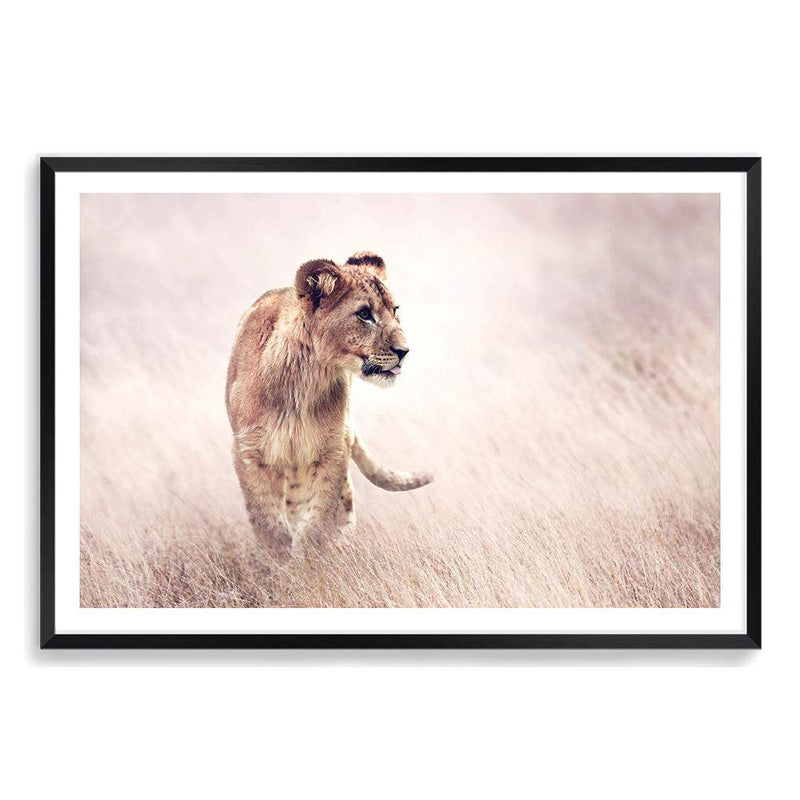 Lion On The Prowl-The Paper Tree-Africa,African,Animal,boho,cat,hunt,Hunting,landscape,leo,lion,nature,neutral,premium art print,TAN,wall art,Wall_Art,Wall_Art_Prints