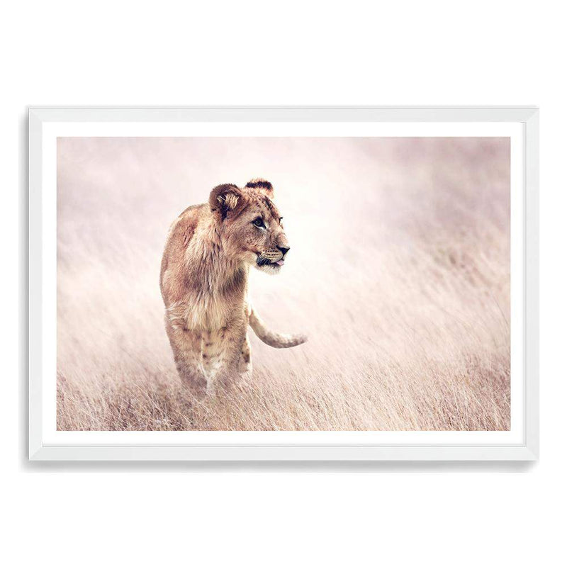 Lion On The Prowl-The Paper Tree-Africa,African,Animal,boho,cat,hunt,Hunting,landscape,leo,lion,nature,neutral,premium art print,TAN,wall art,Wall_Art,Wall_Art_Prints