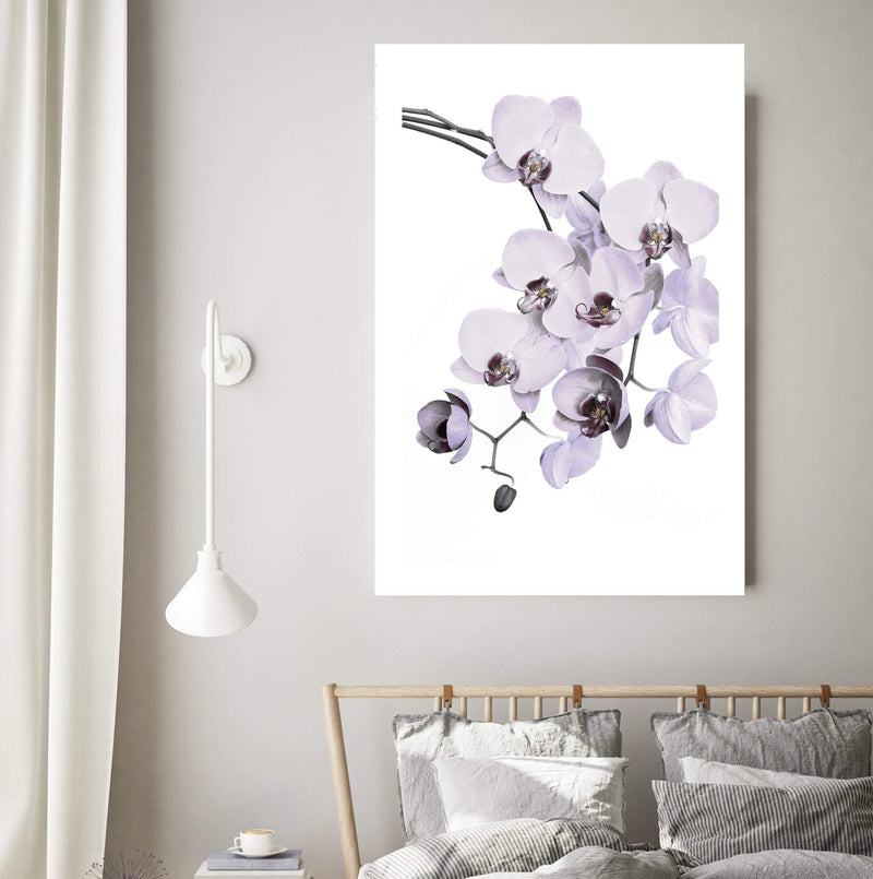 White Orchid Floral-The Paper Tree-floral,flower,flowers,hamptons,neutral,orchid,orchid flower,painted,portrait,premium art print,wall art,Wall_Art,Wall_Art_Prints,WHITE,white flower,white flowers,white orchid