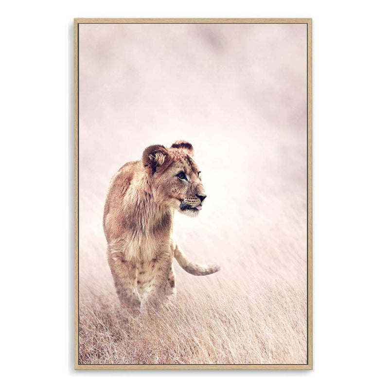 Lion On The Prowl II-The Paper Tree-africa,african,animal,boho,leo,lion,nature,neutral,portrait,premium art print,TAN,wall art,Wall_Art,Wall_Art_Prints