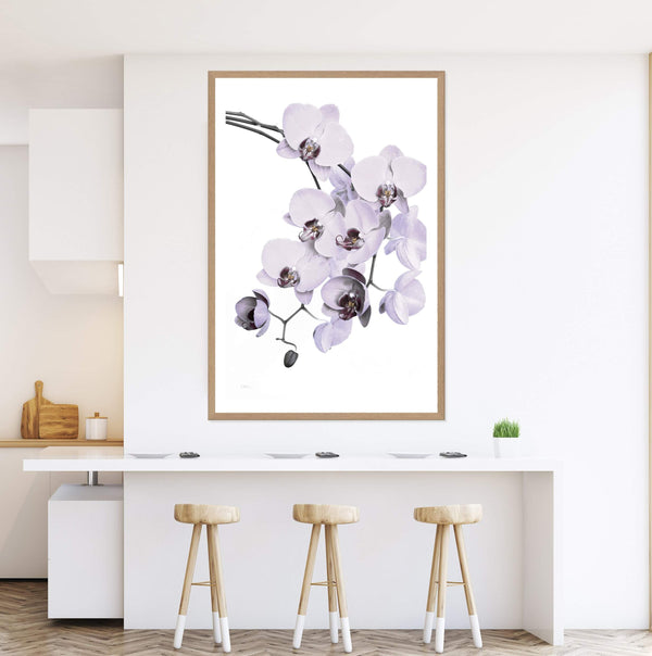 White Orchid Floral-The Paper Tree-floral,flower,flowers,hamptons,neutral,orchid,orchid flower,painted,portrait,premium art print,wall art,Wall_Art,Wall_Art_Prints,WHITE,white flower,white flowers,white orchid