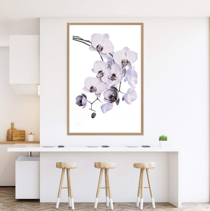 White Orchid Floral-The Paper Tree-floral,flower,flowers,hamptons,neutral,orchid,orchid flower,painted,portrait,premium art print,wall art,Wall_Art,Wall_Art_Prints,WHITE,white flower,white flowers,white orchid