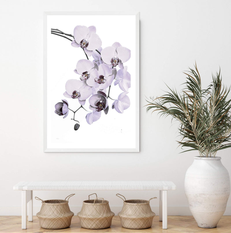 White Orchid Floral-The Paper Tree-floral,flower,flowers,hamptons,neutral,orchid,orchid flower,painted,portrait,premium art print,wall art,Wall_Art,Wall_Art_Prints,WHITE,white flower,white flowers,white orchid