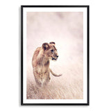 Lion On The Prowl II-The Paper Tree-africa,african,animal,boho,leo,lion,nature,neutral,portrait,premium art print,TAN,wall art,Wall_Art,Wall_Art_Prints