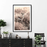 Grazing Springbok-The Paper Tree-africa,african,animal,antelope,nature,neutral,portrait,premium art print,springbok,TAN,wall art,Wall_Art,Wall_Art_Prints