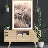 Grazing Springbok-The Paper Tree-africa,african,animal,antelope,nature,neutral,portrait,premium art print,springbok,TAN,wall art,Wall_Art,Wall_Art_Prints