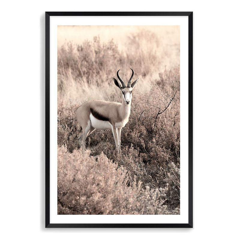 Grazing Springbok-The Paper Tree-africa,african,animal,antelope,nature,neutral,portrait,premium art print,springbok,TAN,wall art,Wall_Art,Wall_Art_Prints