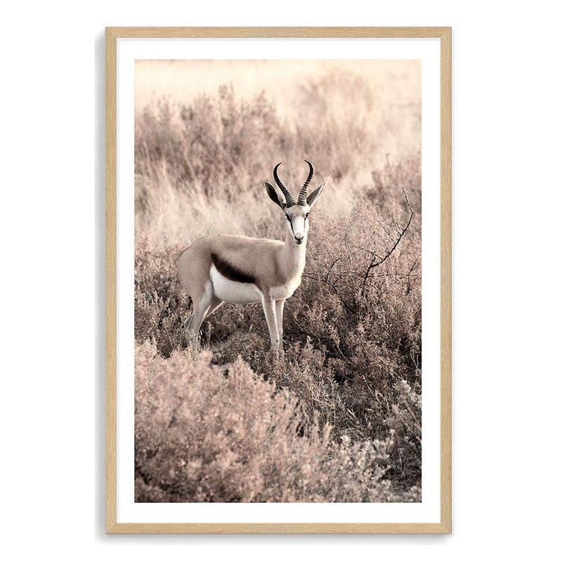 Grazing Springbok-The Paper Tree-africa,african,animal,antelope,nature,neutral,portrait,premium art print,springbok,TAN,wall art,Wall_Art,Wall_Art_Prints