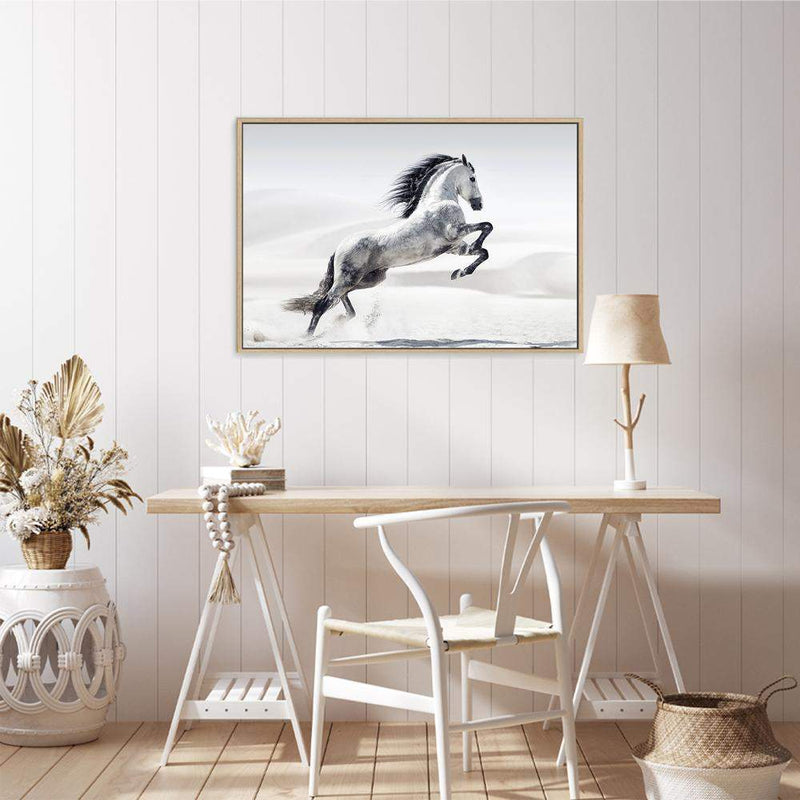 White Stallion-The Paper Tree-animal,black & white,hamptons,horse,landscape,monochrome,morocco,nature,neutral,premium art print,stallion,wall art,Wall_Art,Wall_Art_Prints,white horse,white stallion