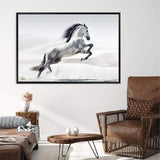 White Stallion-The Paper Tree-animal,black & white,hamptons,horse,landscape,monochrome,morocco,nature,neutral,premium art print,stallion,wall art,Wall_Art,Wall_Art_Prints,white horse,white stallion