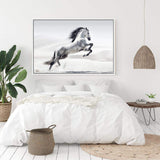 White Stallion-The Paper Tree-animal,black & white,hamptons,horse,landscape,monochrome,morocco,nature,neutral,premium art print,stallion,wall art,Wall_Art,Wall_Art_Prints,white horse,white stallion