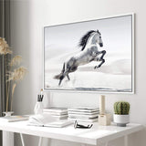 White Stallion-The Paper Tree-animal,black & white,hamptons,horse,landscape,monochrome,morocco,nature,neutral,premium art print,stallion,wall art,Wall_Art,Wall_Art_Prints,white horse,white stallion