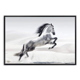 White Stallion-The Paper Tree-animal,black & white,hamptons,horse,landscape,monochrome,morocco,nature,neutral,premium art print,stallion,wall art,Wall_Art,Wall_Art_Prints,white horse,white stallion