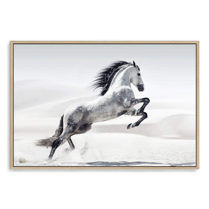 White Stallion-The Paper Tree-animal,black & white,hamptons,horse,landscape,monochrome,morocco,nature,neutral,premium art print,stallion,wall art,Wall_Art,Wall_Art_Prints,white horse,white stallion