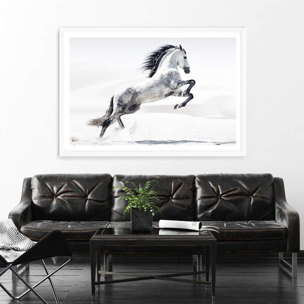 White Stallion-The Paper Tree-animal,black & white,hamptons,horse,landscape,monochrome,morocco,nature,neutral,premium art print,stallion,wall art,Wall_Art,Wall_Art_Prints,white horse,white stallion