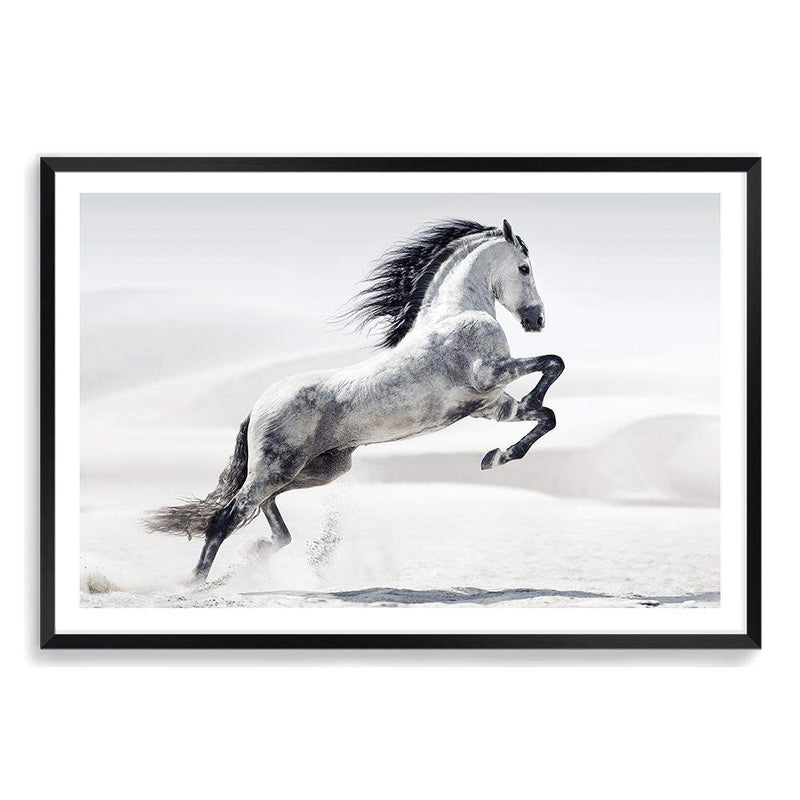 White Stallion-The Paper Tree-animal,black & white,hamptons,horse,landscape,monochrome,morocco,nature,neutral,premium art print,stallion,wall art,Wall_Art,Wall_Art_Prints,white horse,white stallion