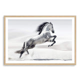 White Stallion-The Paper Tree-animal,black & white,hamptons,horse,landscape,monochrome,morocco,nature,neutral,premium art print,stallion,wall art,Wall_Art,Wall_Art_Prints,white horse,white stallion