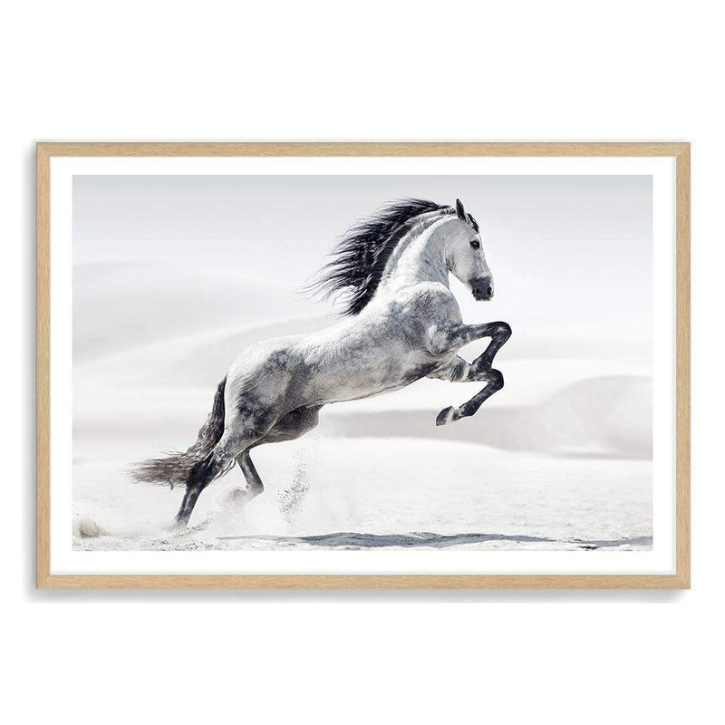 White Stallion-The Paper Tree-animal,black & white,hamptons,horse,landscape,monochrome,morocco,nature,neutral,premium art print,stallion,wall art,Wall_Art,Wall_Art_Prints,white horse,white stallion