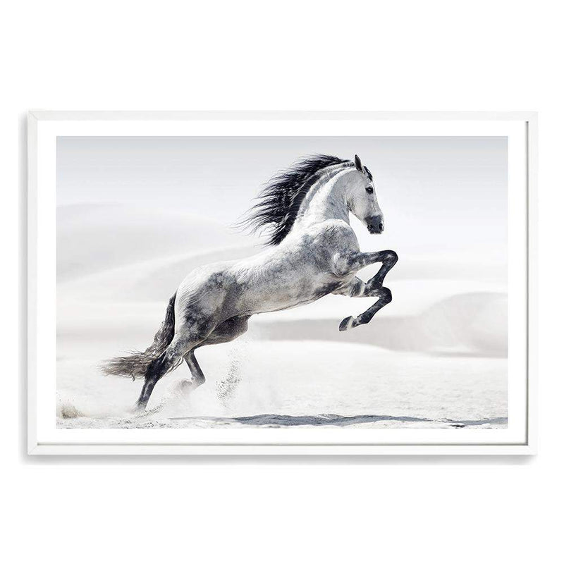 White Stallion-The Paper Tree-animal,black & white,hamptons,horse,landscape,monochrome,morocco,nature,neutral,premium art print,stallion,wall art,Wall_Art,Wall_Art_Prints,white horse,white stallion