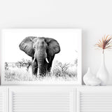 The Elephant-The Paper Tree-africa,african,animal,black,black & white,elephant,landscape,monochrome,nature,premium art print,wall art,Wall_Art,Wall_Art_Prints