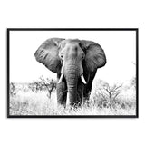 The Elephant-The Paper Tree-africa,african,animal,black,black & white,elephant,landscape,monochrome,nature,premium art print,wall art,Wall_Art,Wall_Art_Prints