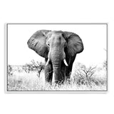 The Elephant-The Paper Tree-africa,african,animal,black,black & white,elephant,landscape,monochrome,nature,premium art print,wall art,Wall_Art,Wall_Art_Prints