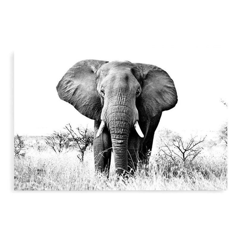 The Elephant-The Paper Tree-africa,african,animal,black,black & white,elephant,landscape,monochrome,nature,premium art print,wall art,Wall_Art,Wall_Art_Prints