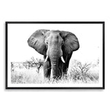 The Elephant-The Paper Tree-africa,african,animal,black,black & white,elephant,landscape,monochrome,nature,premium art print,wall art,Wall_Art,Wall_Art_Prints