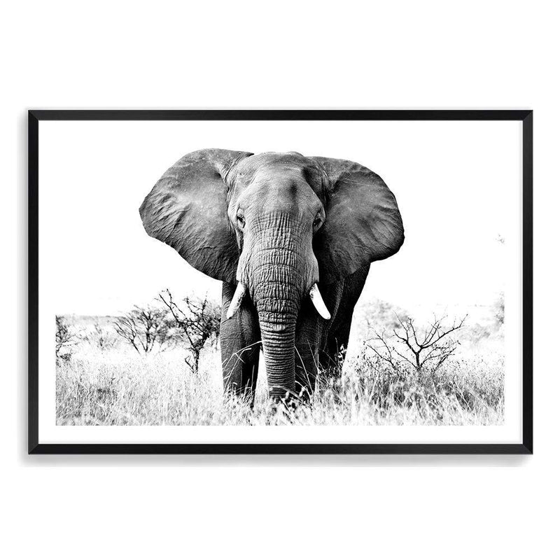 The Elephant-The Paper Tree-africa,african,animal,black,black & white,elephant,landscape,monochrome,nature,premium art print,wall art,Wall_Art,Wall_Art_Prints