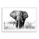 The Elephant-The Paper Tree-africa,african,animal,black,black & white,elephant,landscape,monochrome,nature,premium art print,wall art,Wall_Art,Wall_Art_Prints