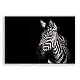 A Zebra's Stipes-The Paper Tree-africa,african,animal,black,black & white,black and white,horse,landscape,minimal,monochrome,premium art print,stripes,wall art,Wall_Art,Wall_Art_Prints,zebra